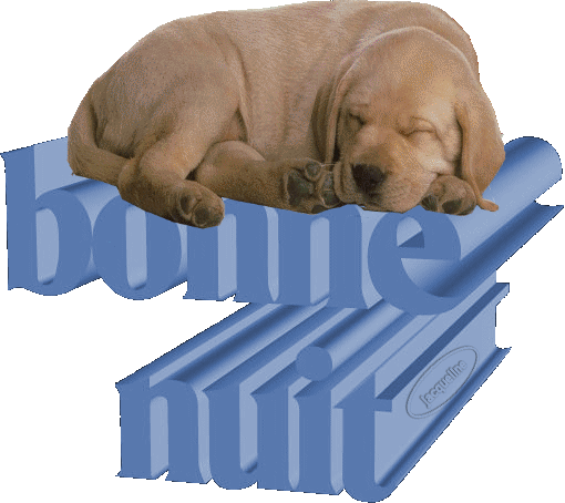 mon chien lol